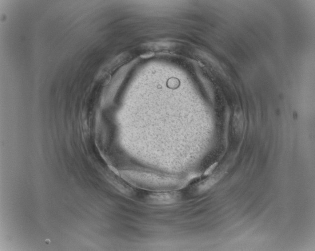 X0000075360381200609251108