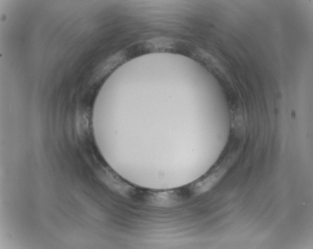 X0000075360382200609251108