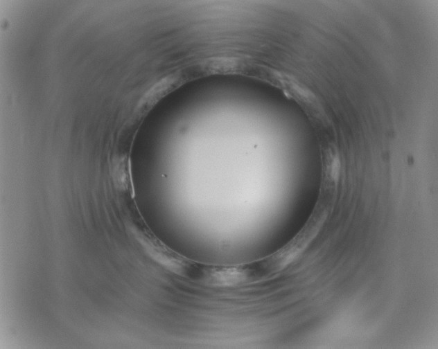 X0000075360383200609251108