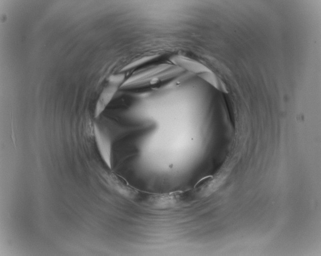 X0000075360384200609251108