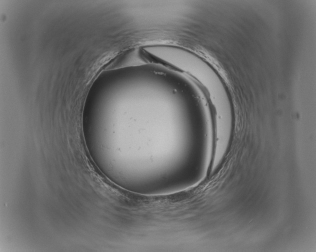 X0000075360385200609251107