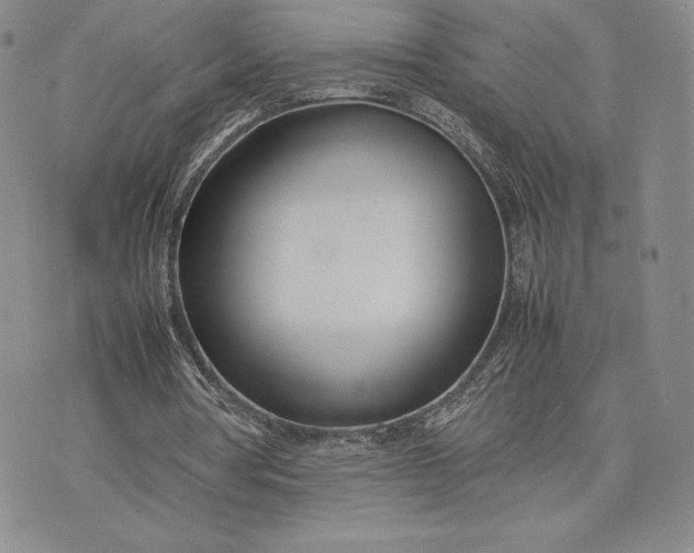 X0000075360386200609251107