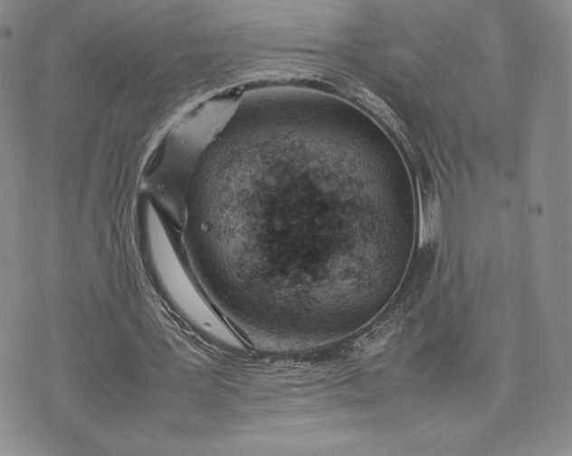 X0000075360387200609251107