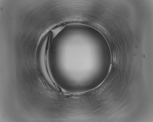 X0000075360388200609251107