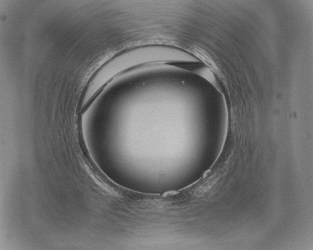 X0000075360389200609251107