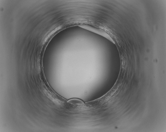 X0000075360390200609251107