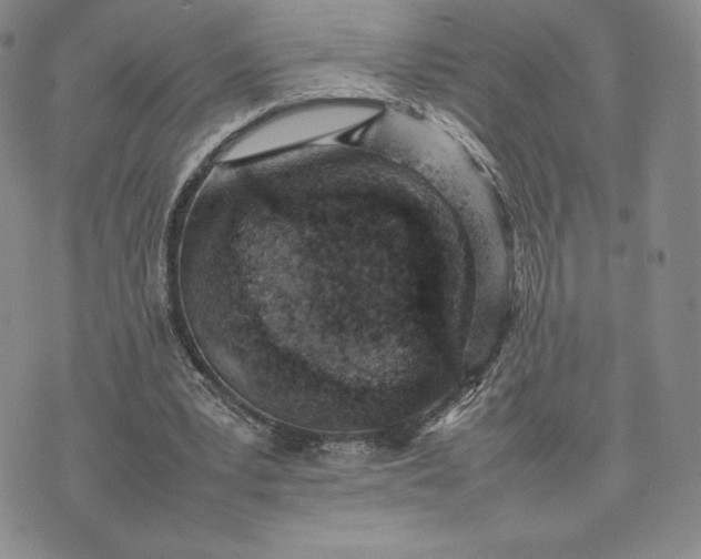 X0000075360391200609251107