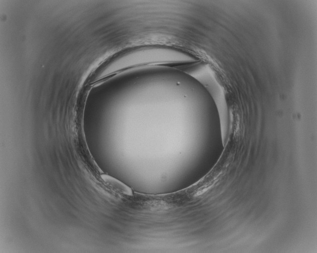 X0000075360392200609251107