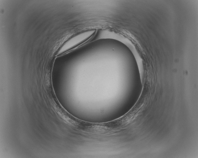 X0000075360393200609251107