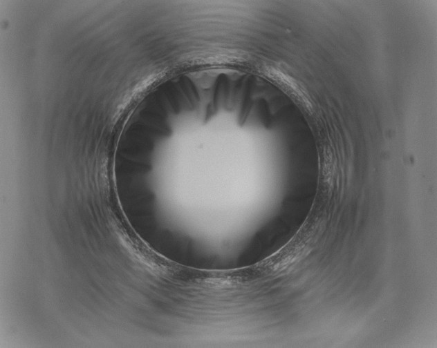 X0000075360394200609251107