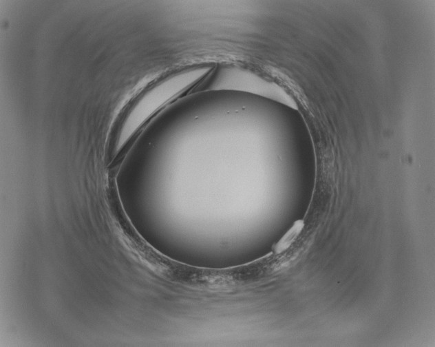 X0000075360395200609251107