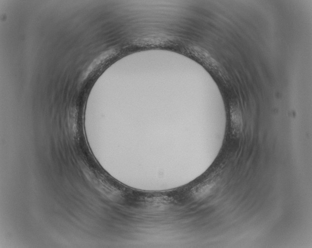 X0000075360396200609251107