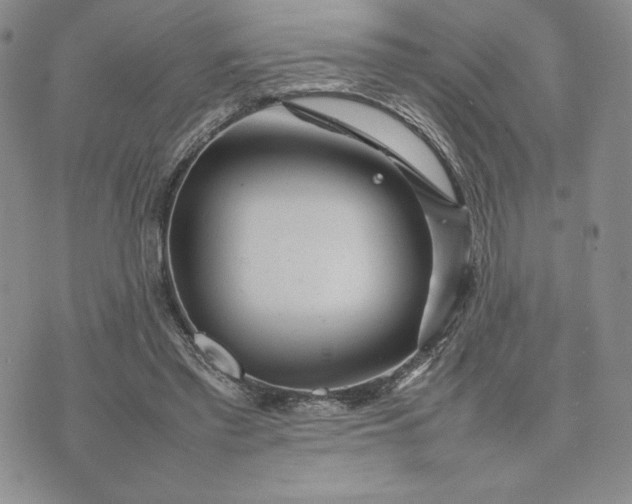 X0000075360397200609251107