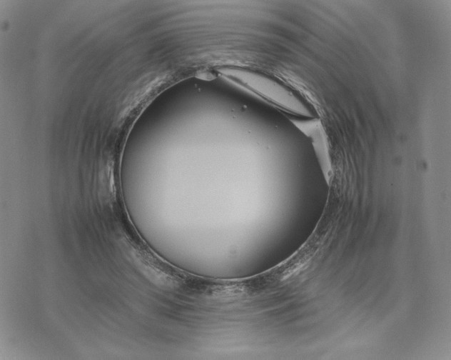 X0000075360398200609251107