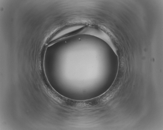 X0000075360399200609251107