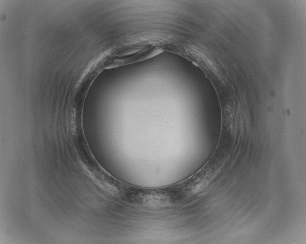 X0000075360400200609251107