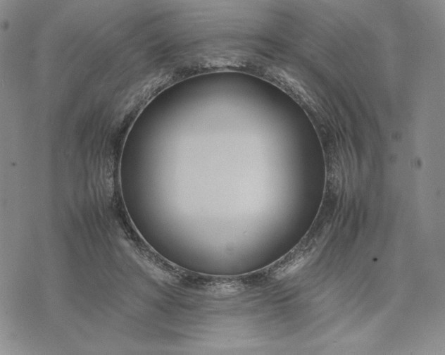 X0000075360402200609251107