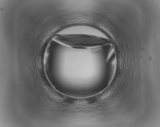 X0000075360403200609251107