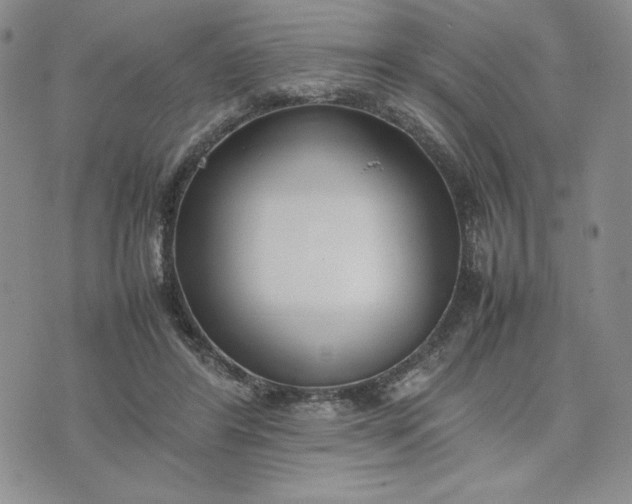 X0000075360404200609251107