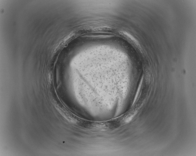 X0000075360405200609251107