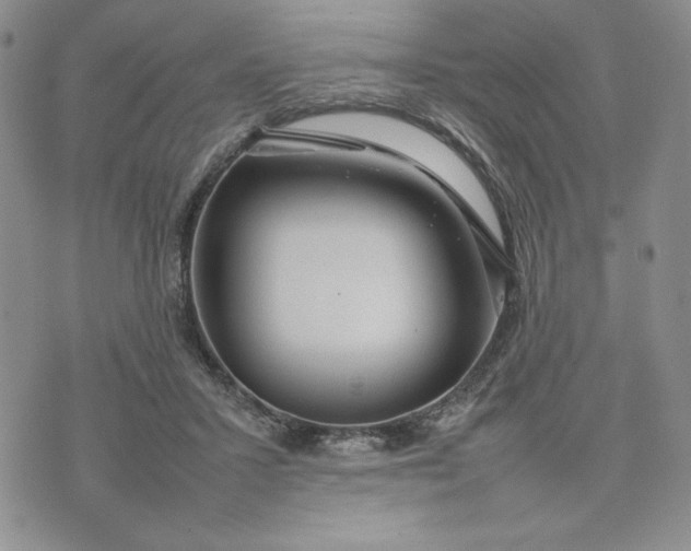 X0000075360407200609251107