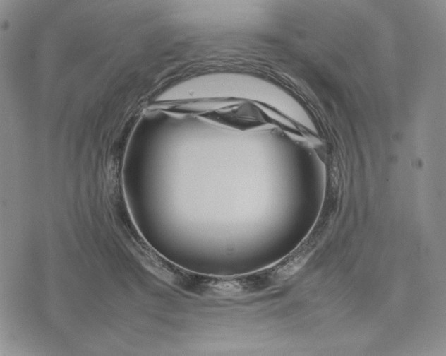 X0000075360409200609251107