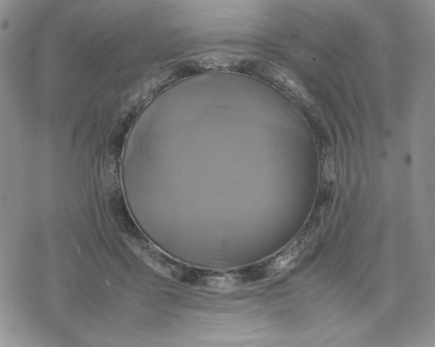 X0000075360411200609251107