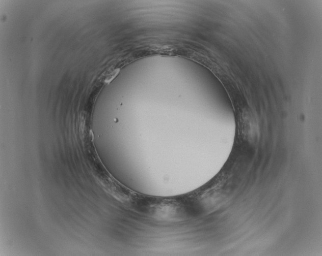 X0000075360412200609251107