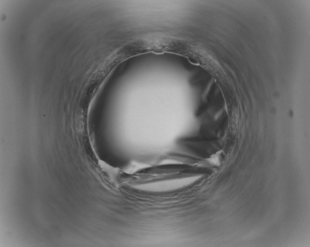 X0000075360413200609251107