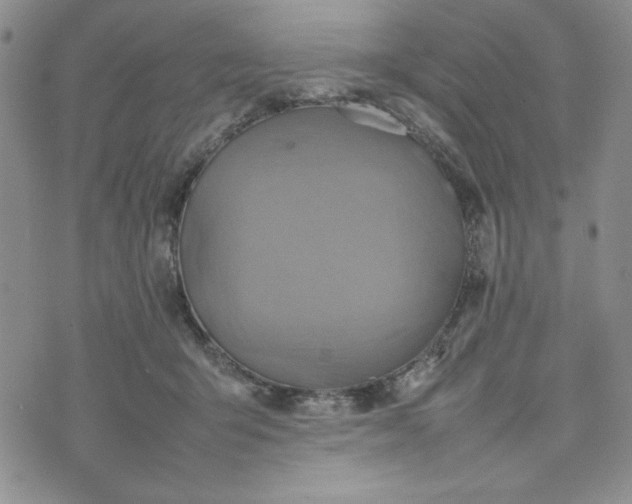 X0000075360415200609251107