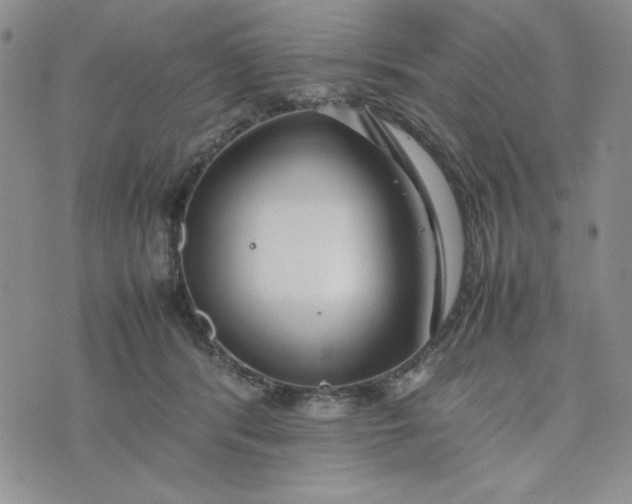 X0000075360416200609251107