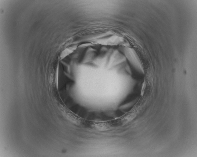 X0000075360417200609251107