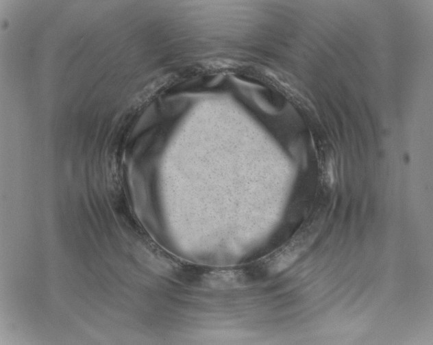 X0000075360418200609251107