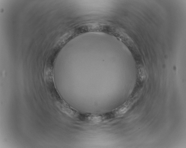 X0000075360419200609251107