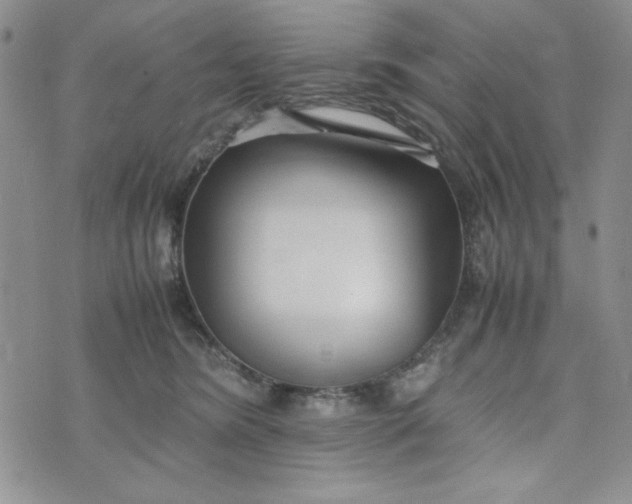 X0000075360420200609251107