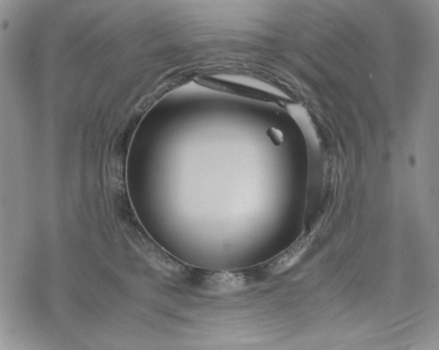 X0000075360421200609251107