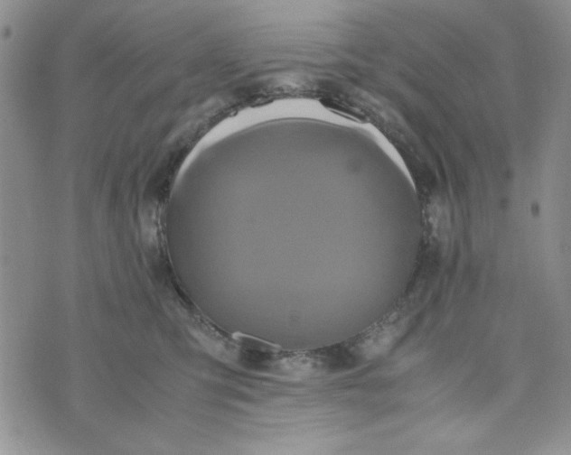 X0000075360423200609251107