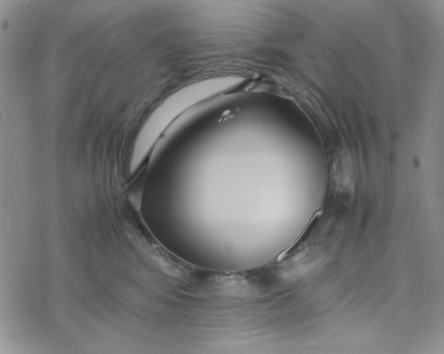 X0000075360424200609251107