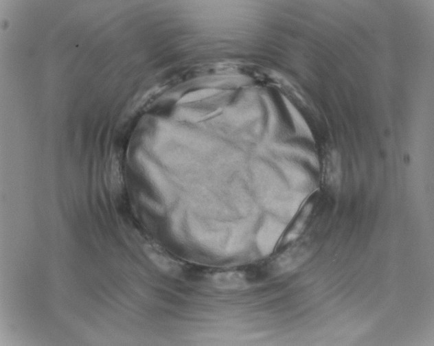 X0000075360426200609251107