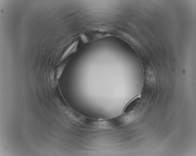 X0000075360428200609251107