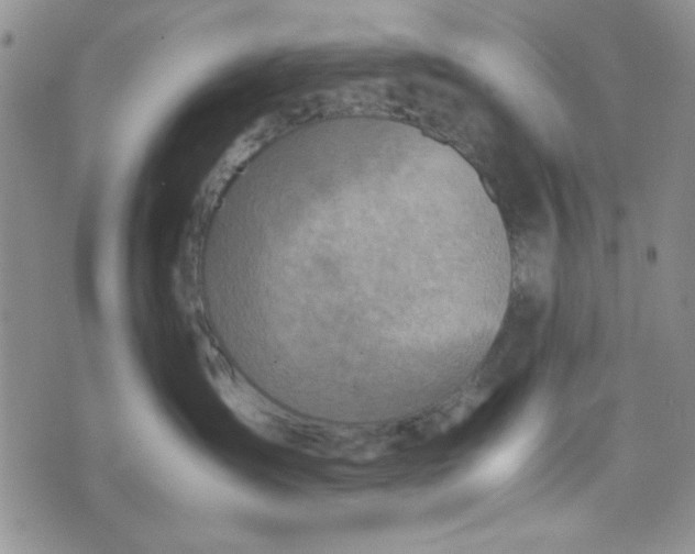 X0000075360431200609251106