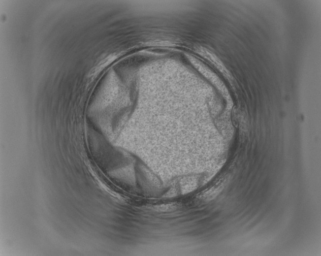 X0000075360433200609251106