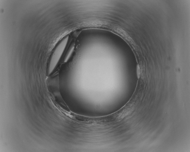 X0000075360434200609251106