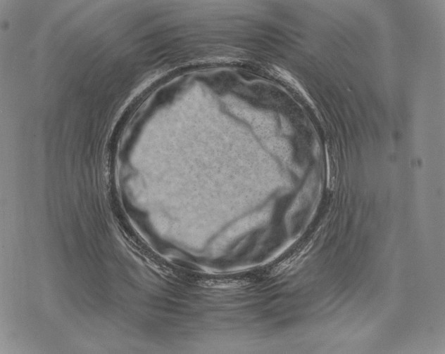 X0000075360435200609251106