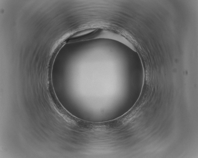 X0000075360438200609251106