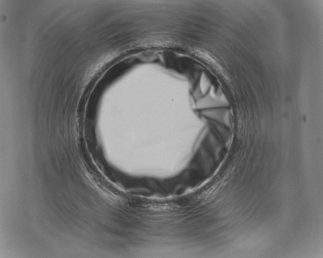 X0000075360439200609251106