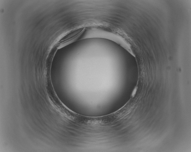 X0000075360440200609251106