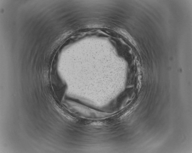 X0000075360441200609251106