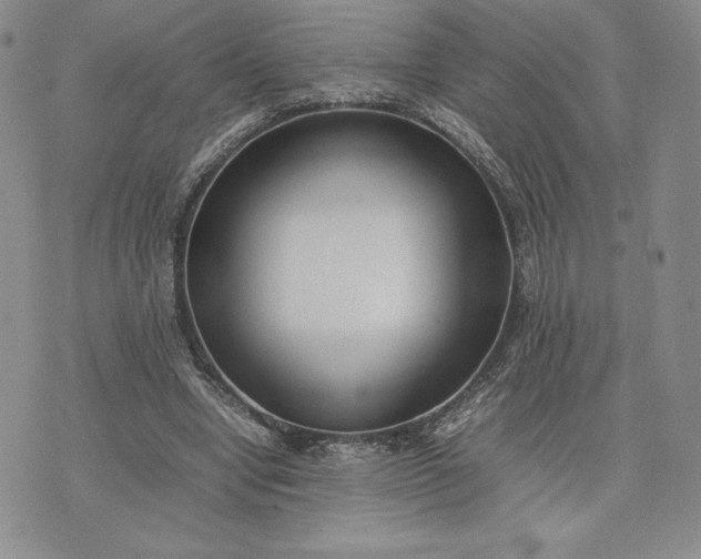 X0000075360442200609251106