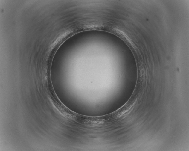 X0000075360443200609251106